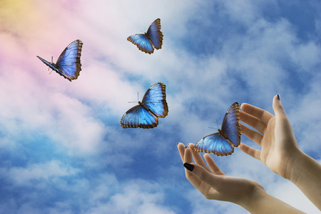 mani che liberano farfalle blu